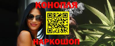 Альфа ПВП Гатчина