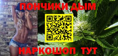 Альфа ПВП Гатчина