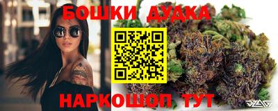 Альфа ПВП Гатчина