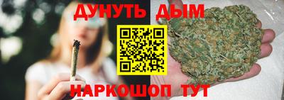 Альфа ПВП Гатчина