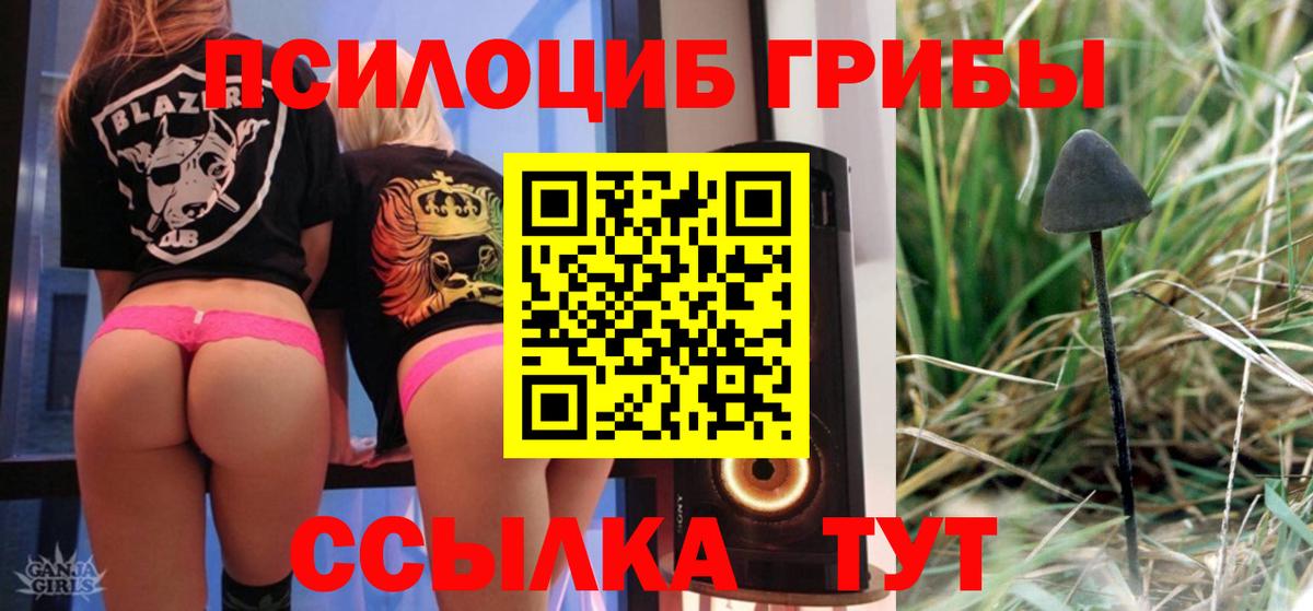 Галлюциногенные грибы Cubensis Новосибирск