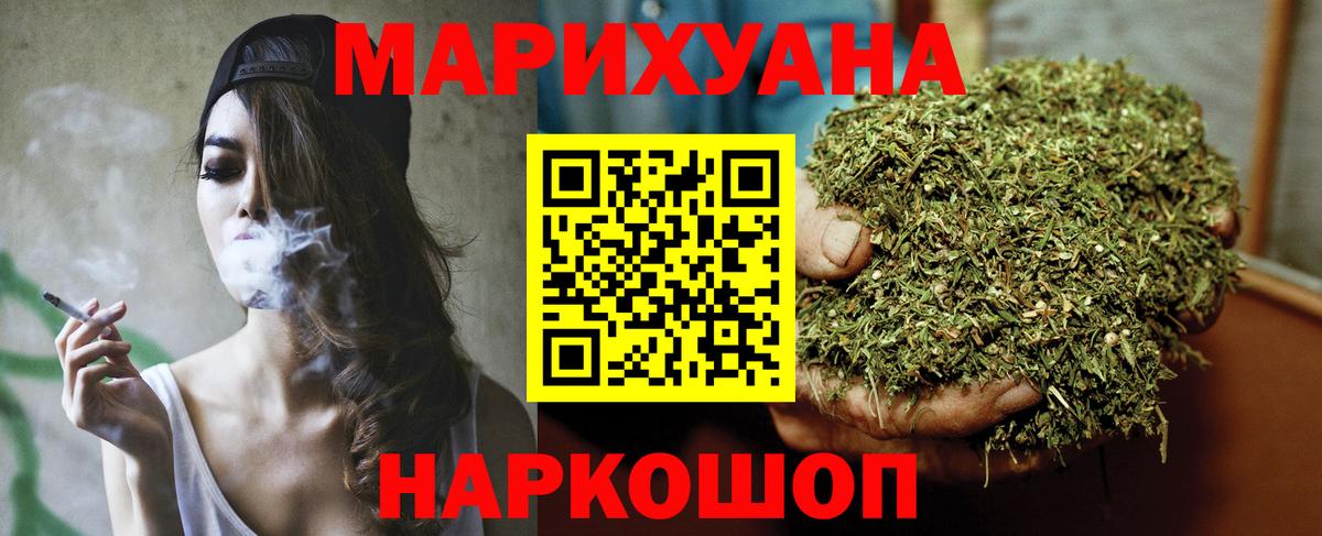 Каннабис сатива Новосибирск